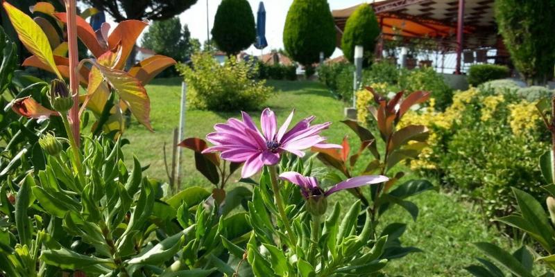 Grand Platon 4* Олимпиаки-Акти